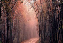 九游：图片报：格雷茨卡预计将首发出战意大利，斯蒂勒与他搭档中场.