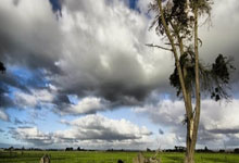 九游：太阳报：拉什福德的劳斯莱斯因爆胎被拖走，驾驶员身份未知.