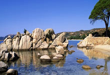 英联杯：阿申纳3比2击败水晶宫.